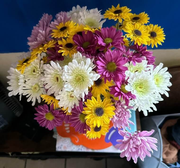 Preserve Fresh Flowers With Vinegar