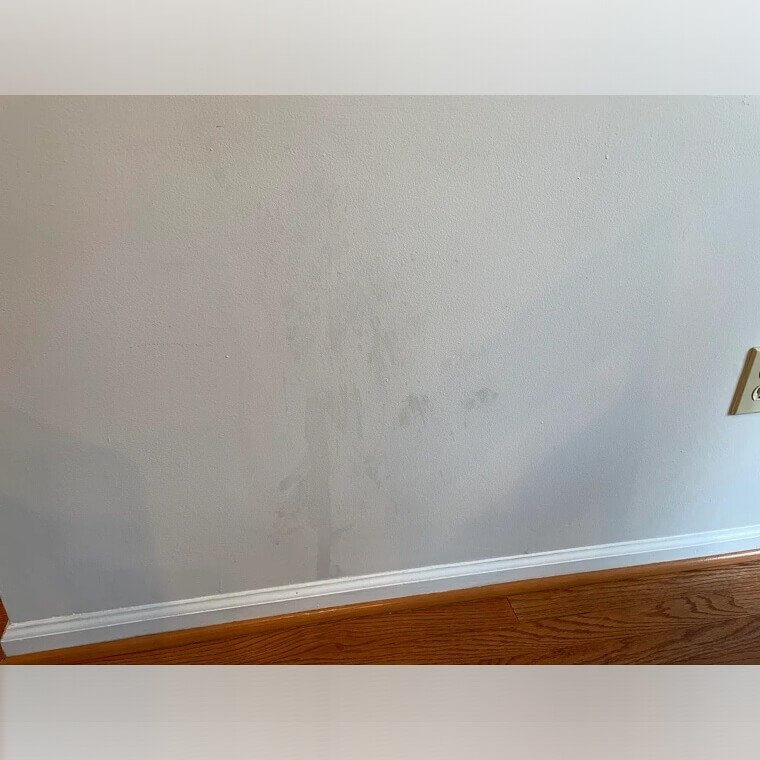 Clean Surfaces Before You Paint