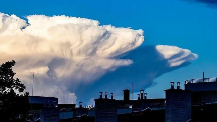 A Giant Bear in The Sky