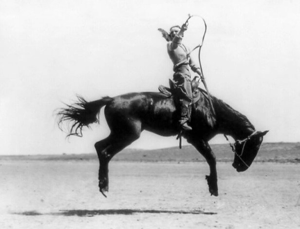 The Not-So-Fresh Reality of Cowboys and Their Horses