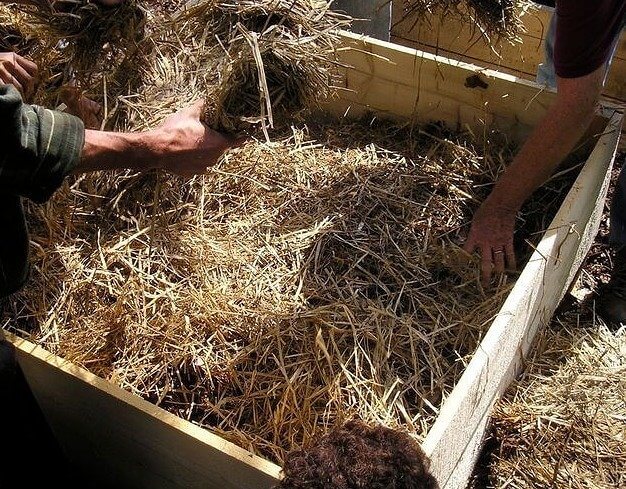 It Was Common to Sleep in Bug-Infested Beds Made of Straw