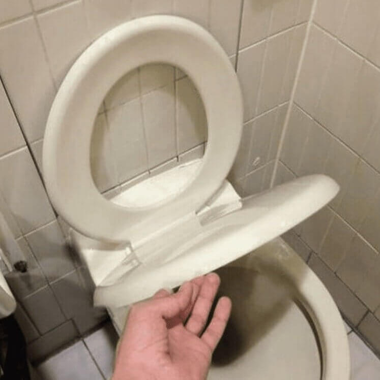 A Toilet That Says, "Tricked Ya"