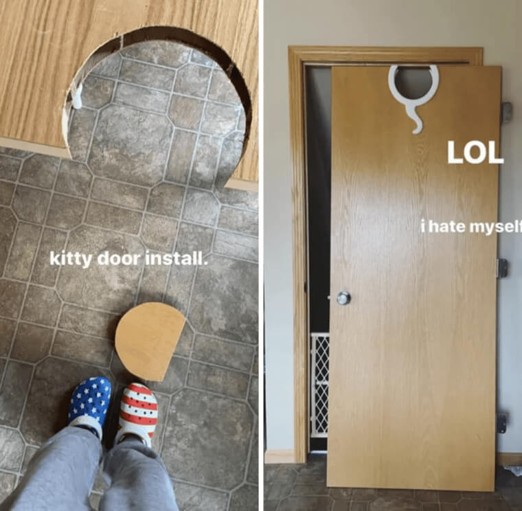 At Least Their Cat Can Just Learn to Climb the Door Frame