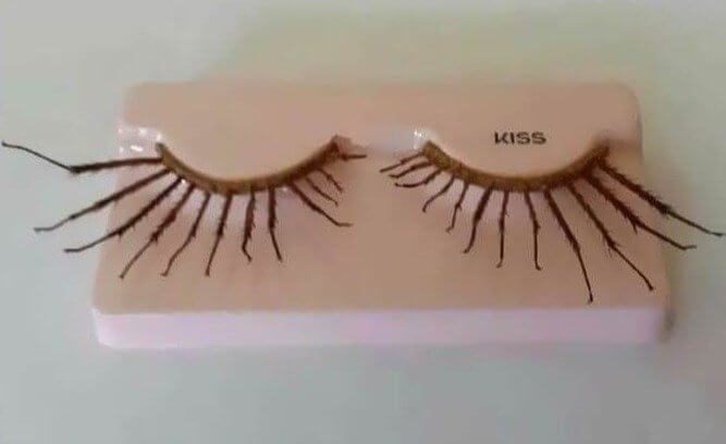 Eyelashes Made of "jumbo Flying Roach Legs" Because Regular Roaches Wouldn't Do