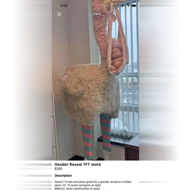 Who Wouldn't Want This