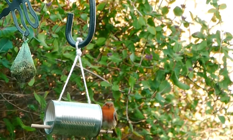 Make Your Own Bird Feeder