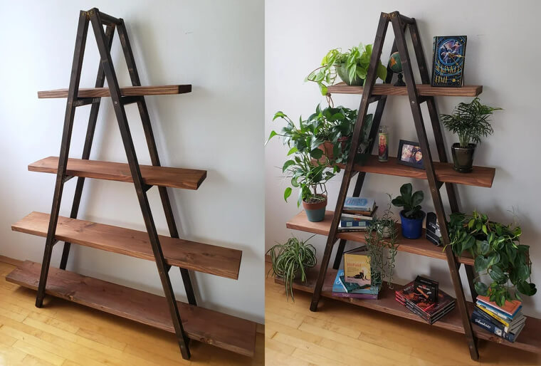 A Ladder Can Become a Stylish Bookshelf