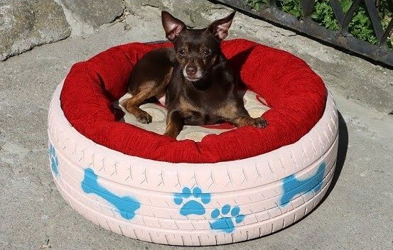 Create a Cozy Dog Bed