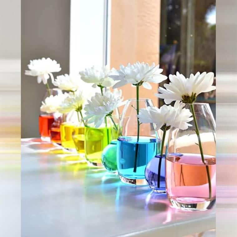 Add Colored Water To Vases To Turn Flowers Different Colors