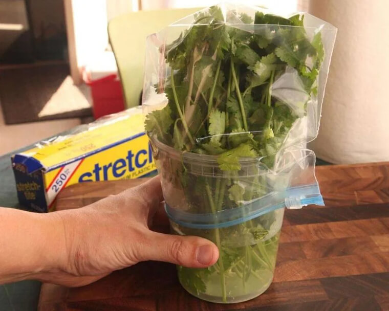 Make Your Herbs Last Longer