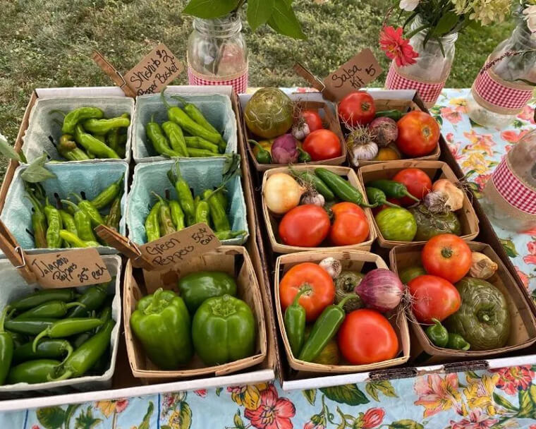 Shop For Produce That's In Season