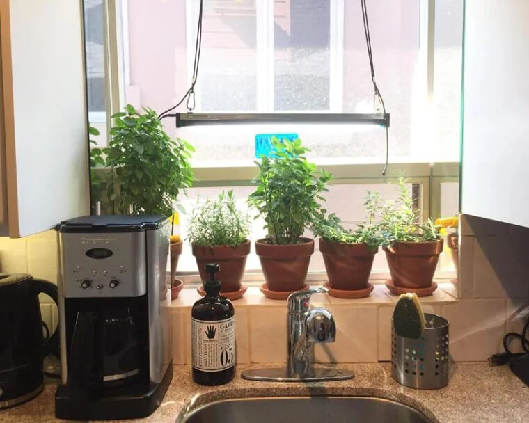 Just Grow Your Own Herbs
