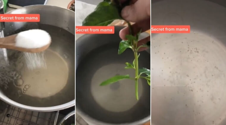 Use Salt to Wash Your Vegetables