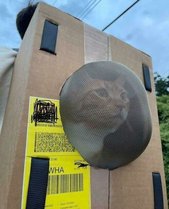 DIY Cat Backpack: All You Need Is a Box and the Colander in Your Kitchen