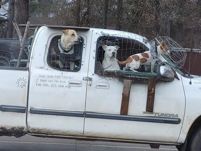 No Windows, No Problem