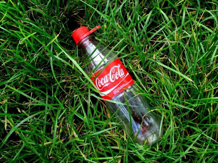 Upgrade Your Garden With Greener Pastures