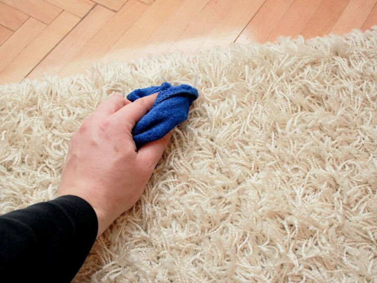 Remove Blood Stains