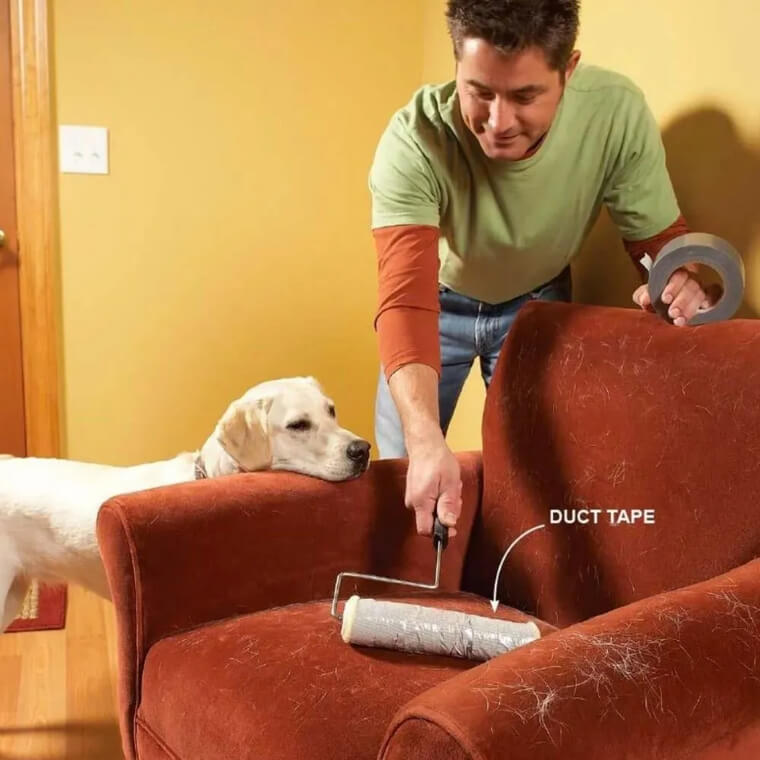 Make A DIY Pet Hair Remover