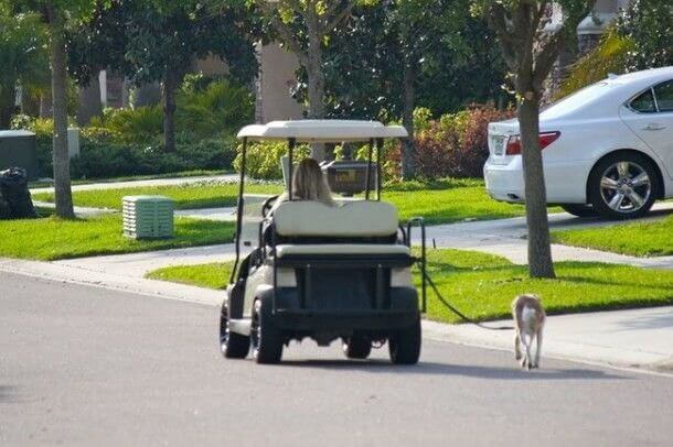 When You Are Too Lazy to Walk While Walking the Dog