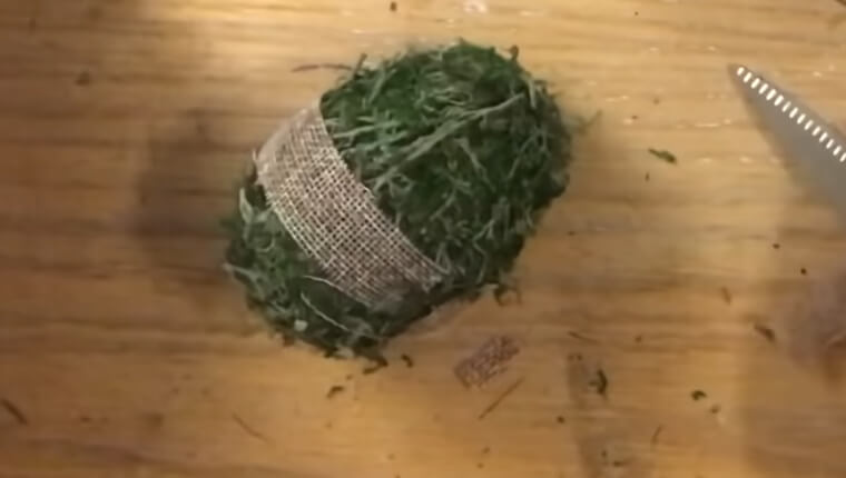 Make Some Moss-Covered Eggs to Show off